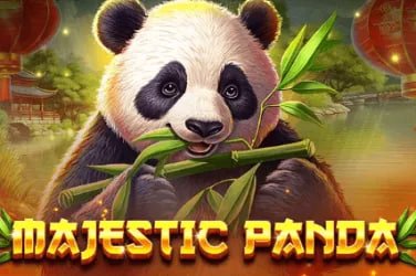 Live games with real dealers for authentic casino experience